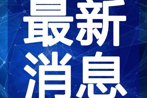 爆料离婚网红视频大全最新,揭秘最新爆料视频大盘点